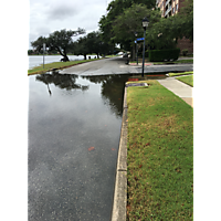 Hurricane Florence  image